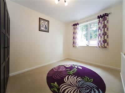 Picture 20